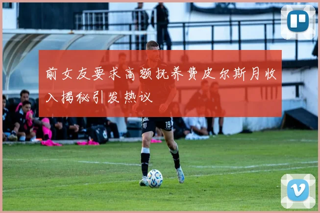 前女友要求高额抚养费皮尔斯月收入揭秘引发热议